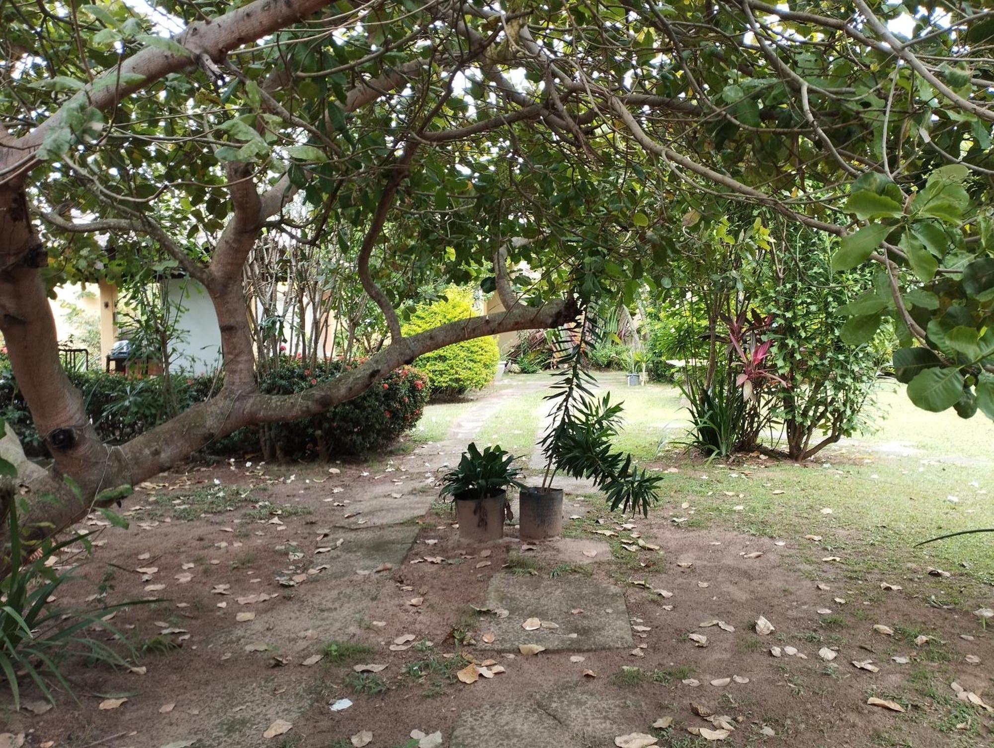 Lumiar Garden Suites E Chales Em Vilas Do Atlantico Lauro de Freitas Kültér fotó