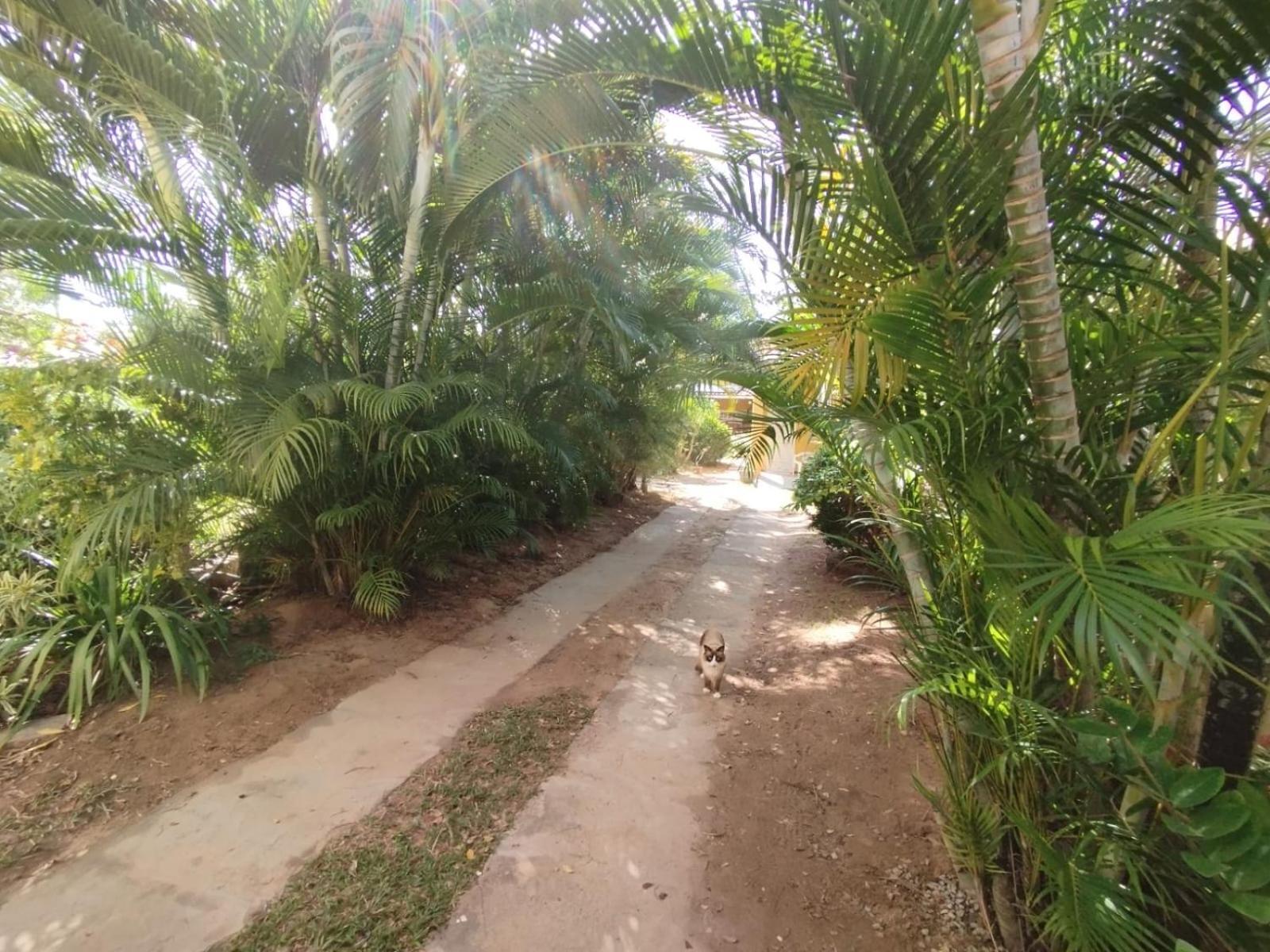 Lumiar Garden Suites E Chales Em Vilas Do Atlantico Lauro de Freitas Kültér fotó