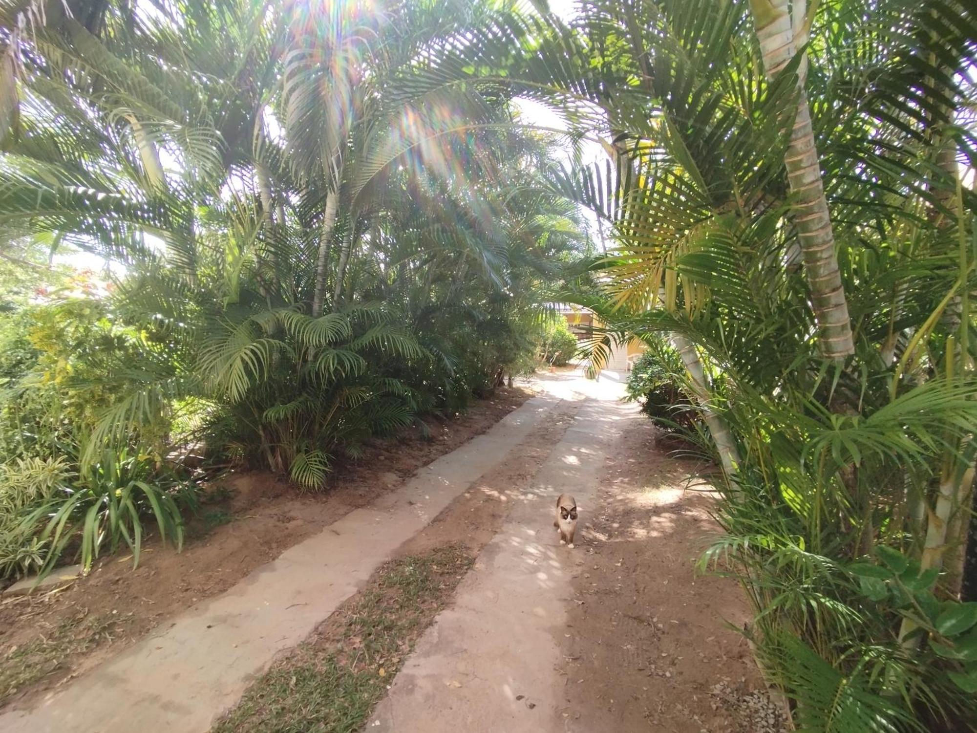 Lumiar Garden Suites E Chales Em Vilas Do Atlantico Lauro de Freitas Kültér fotó